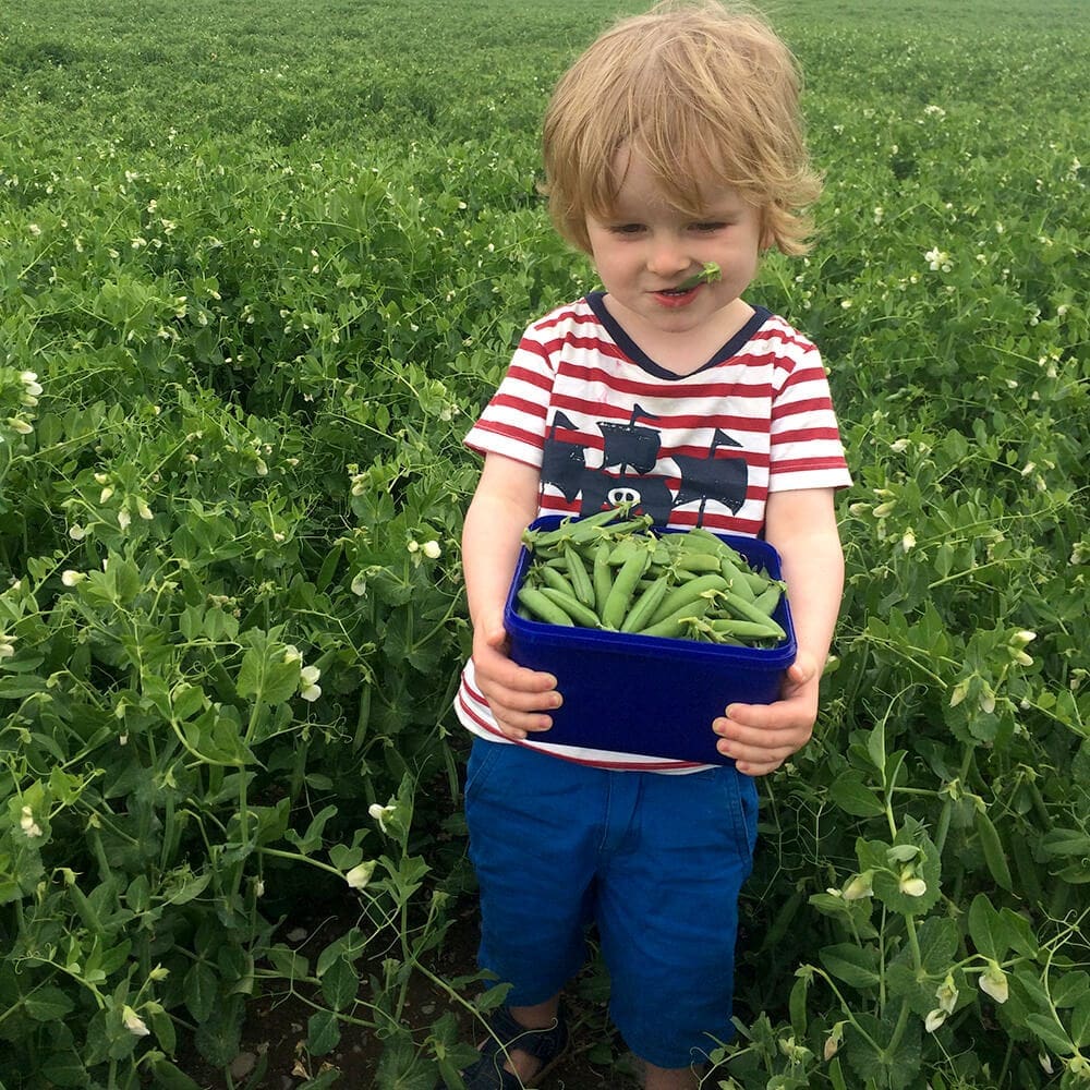 Max and his peas