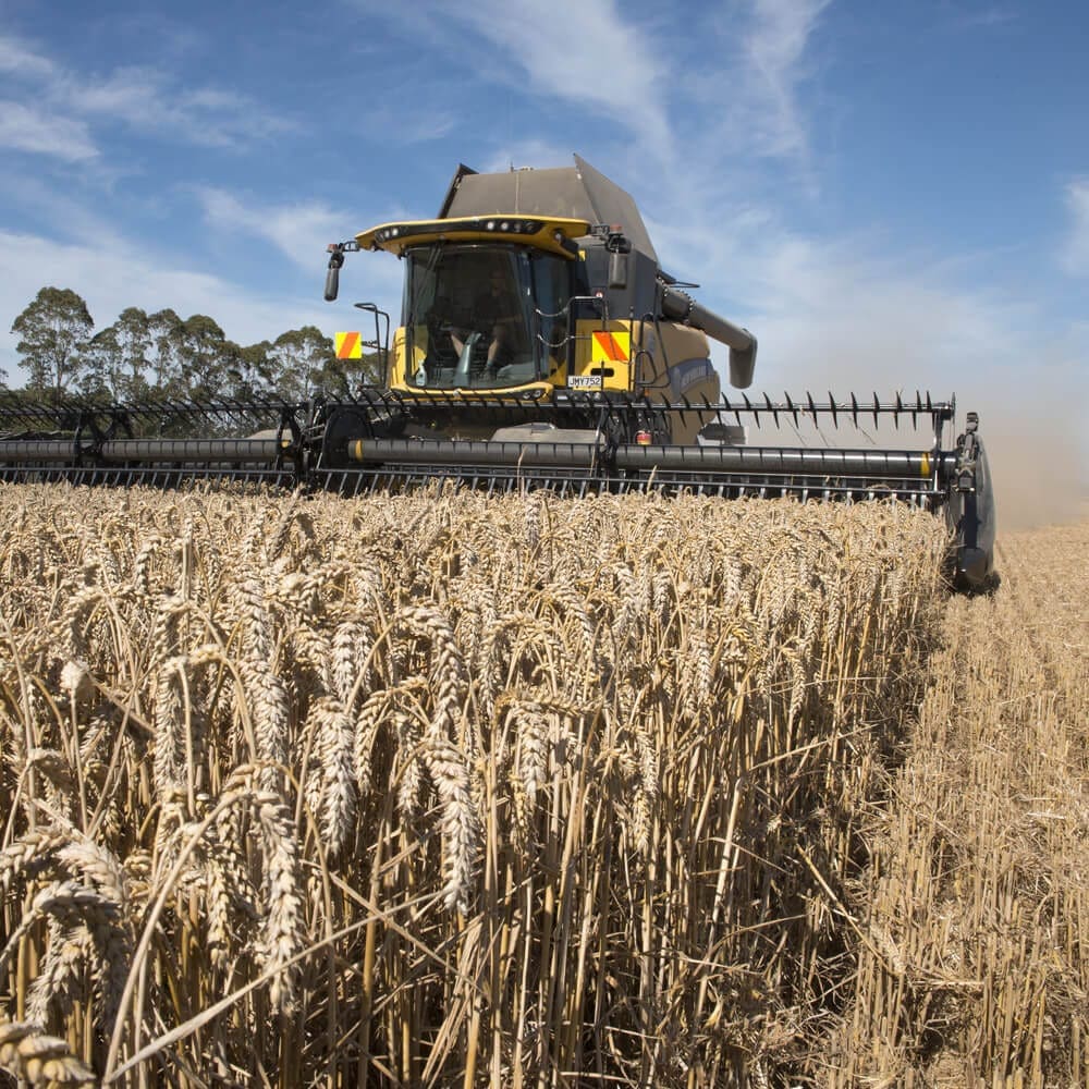 wheat harvester